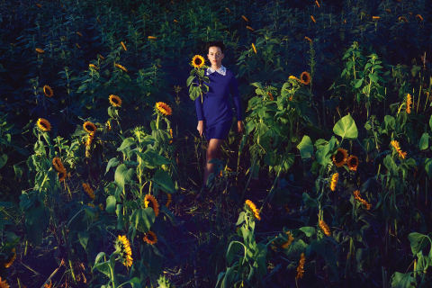 Sfondi Girl In Blue Dress In Sunflower Field 480x320