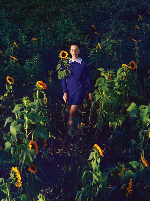 Fondo de pantalla Girl In Blue Dress In Sunflower Field 480x640