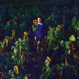 Kostenloses Girl In Blue Dress In Sunflower Field Wallpaper für iPad 3