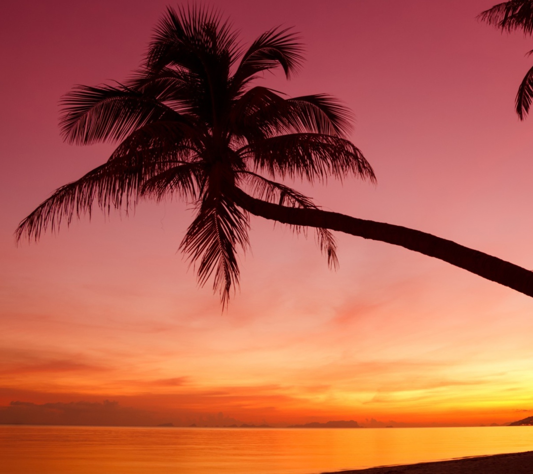 Sfondi Purple Sunset And Palm Tree 1080x960