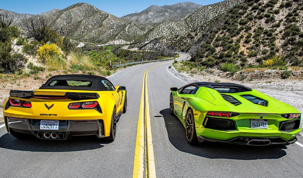 Обои Chevrolet Corvette Stingray vs Lamborghini Aventador 1024x600