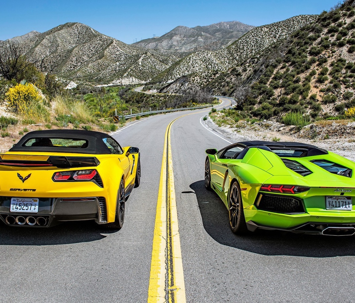 Обои Chevrolet Corvette Stingray vs Lamborghini Aventador 1200x1024