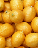 Das Fresh Yellow Lemons Wallpaper 128x160