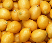 Sfondi Fresh Yellow Lemons 176x144