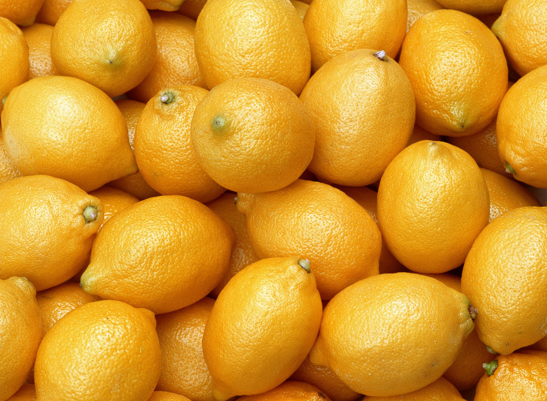 Das Fresh Yellow Lemons Wallpaper 1920x1408
