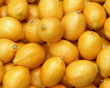 Das Fresh Yellow Lemons Wallpaper 220x176