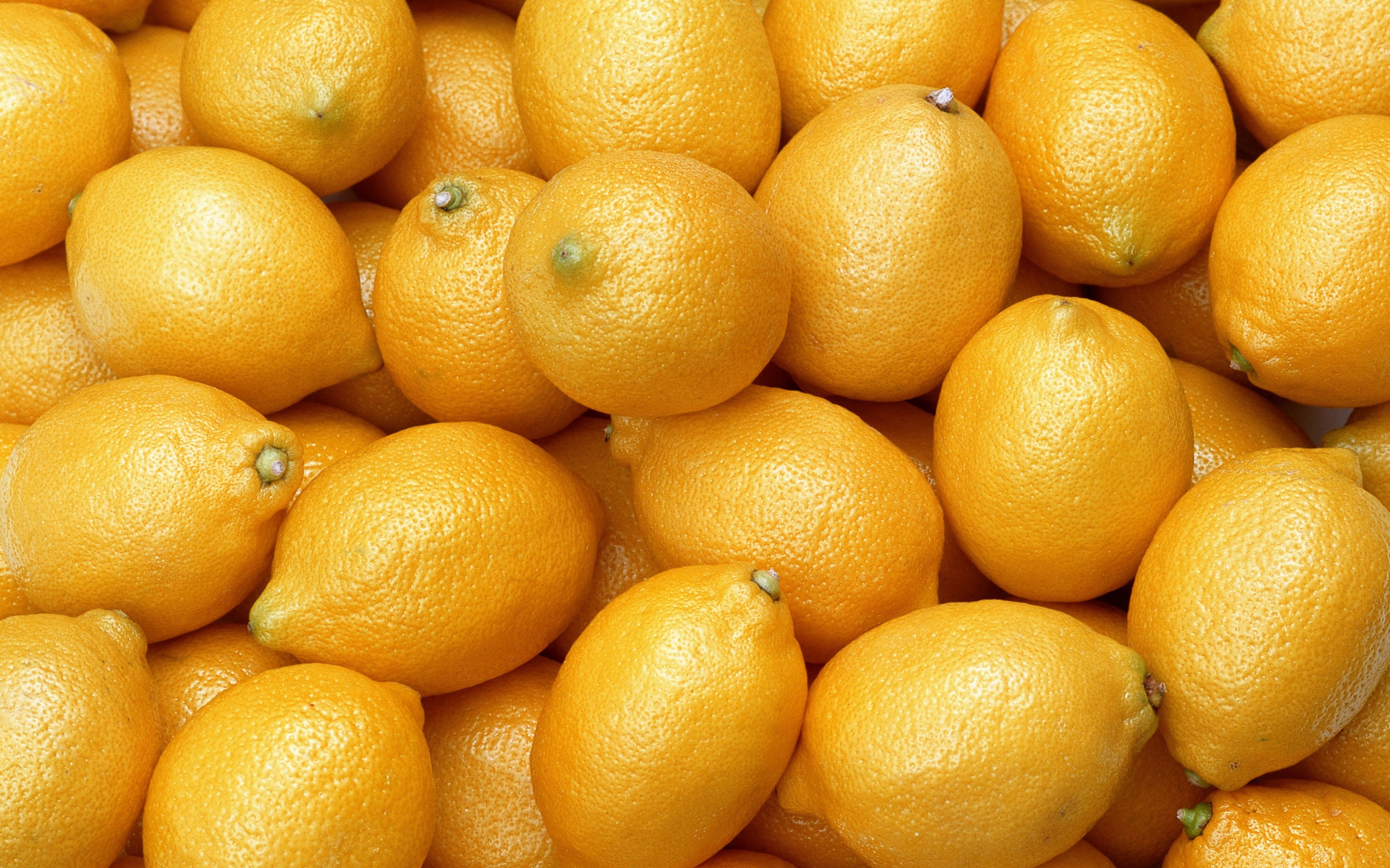 Sfondi Fresh Yellow Lemons 2560x1600