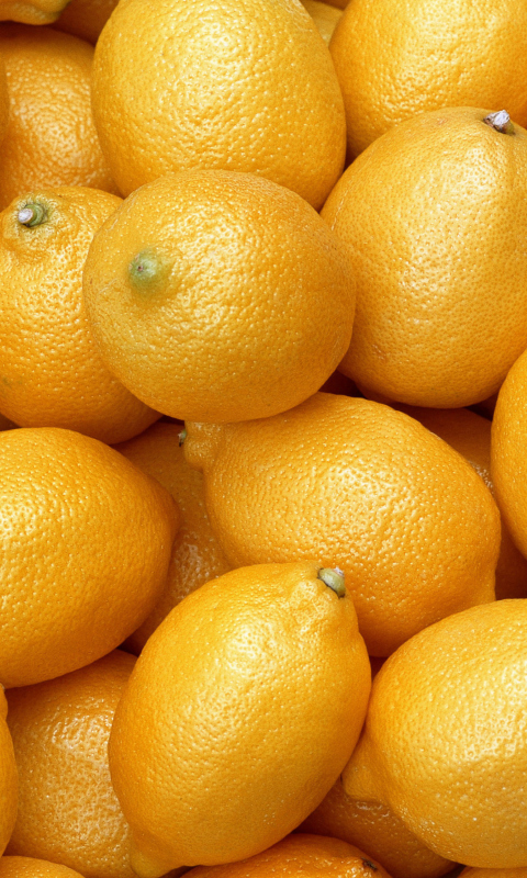 Das Fresh Yellow Lemons Wallpaper 480x800