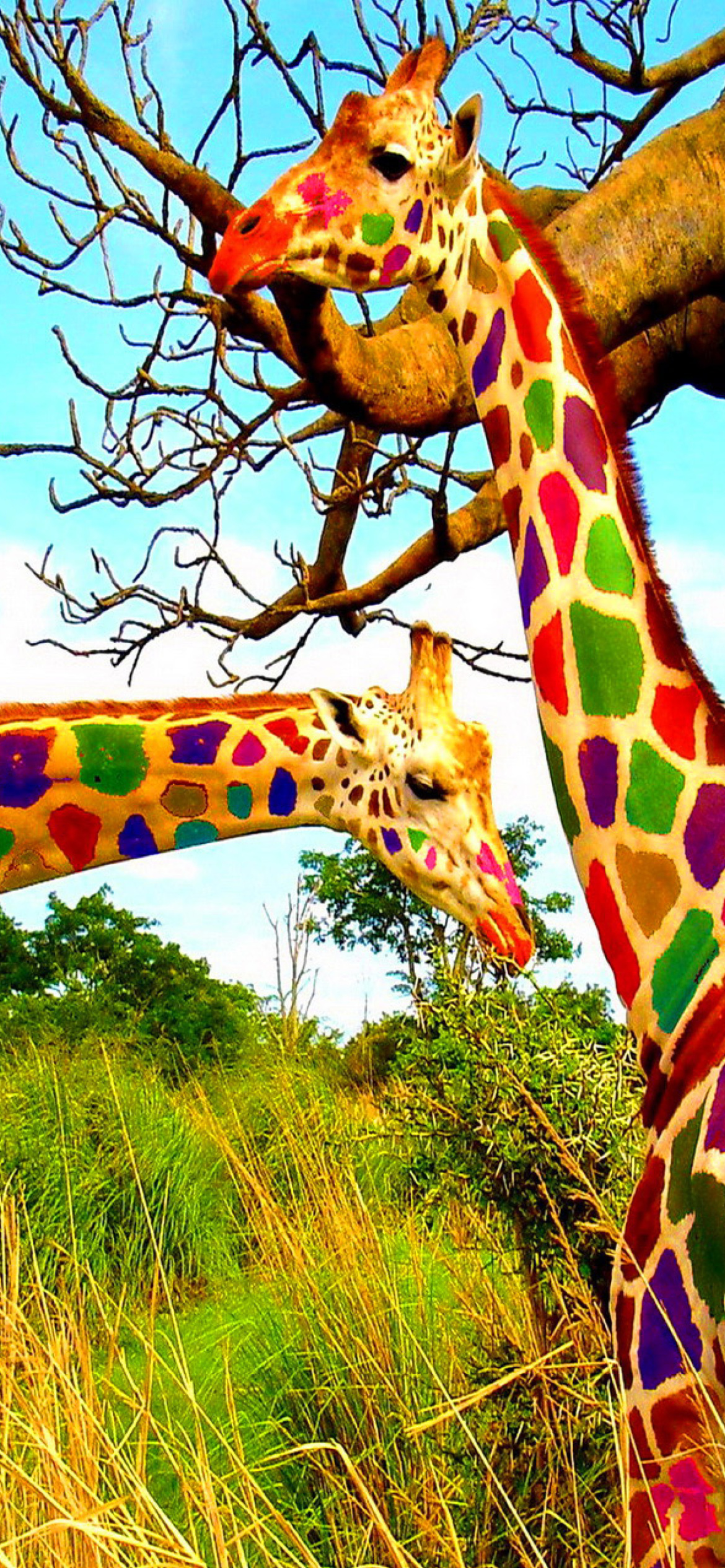 Multicolored Giraffe Family wallpaper 1170x2532