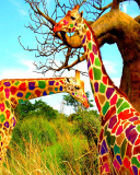 Multicolored Giraffe Family wallpaper 128x160