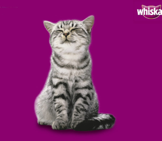 Whiskas Cat - Fondos de pantalla gratis para Samsung E1150