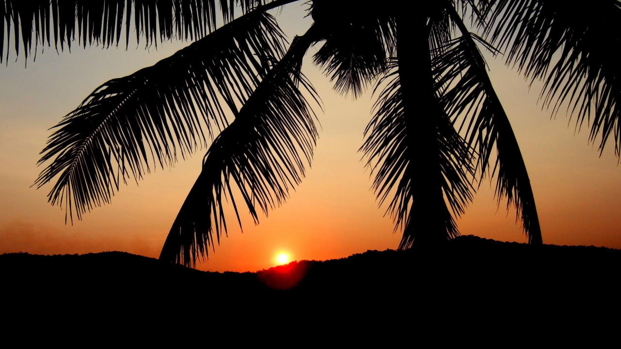 Sunset screenshot #1 1280x720