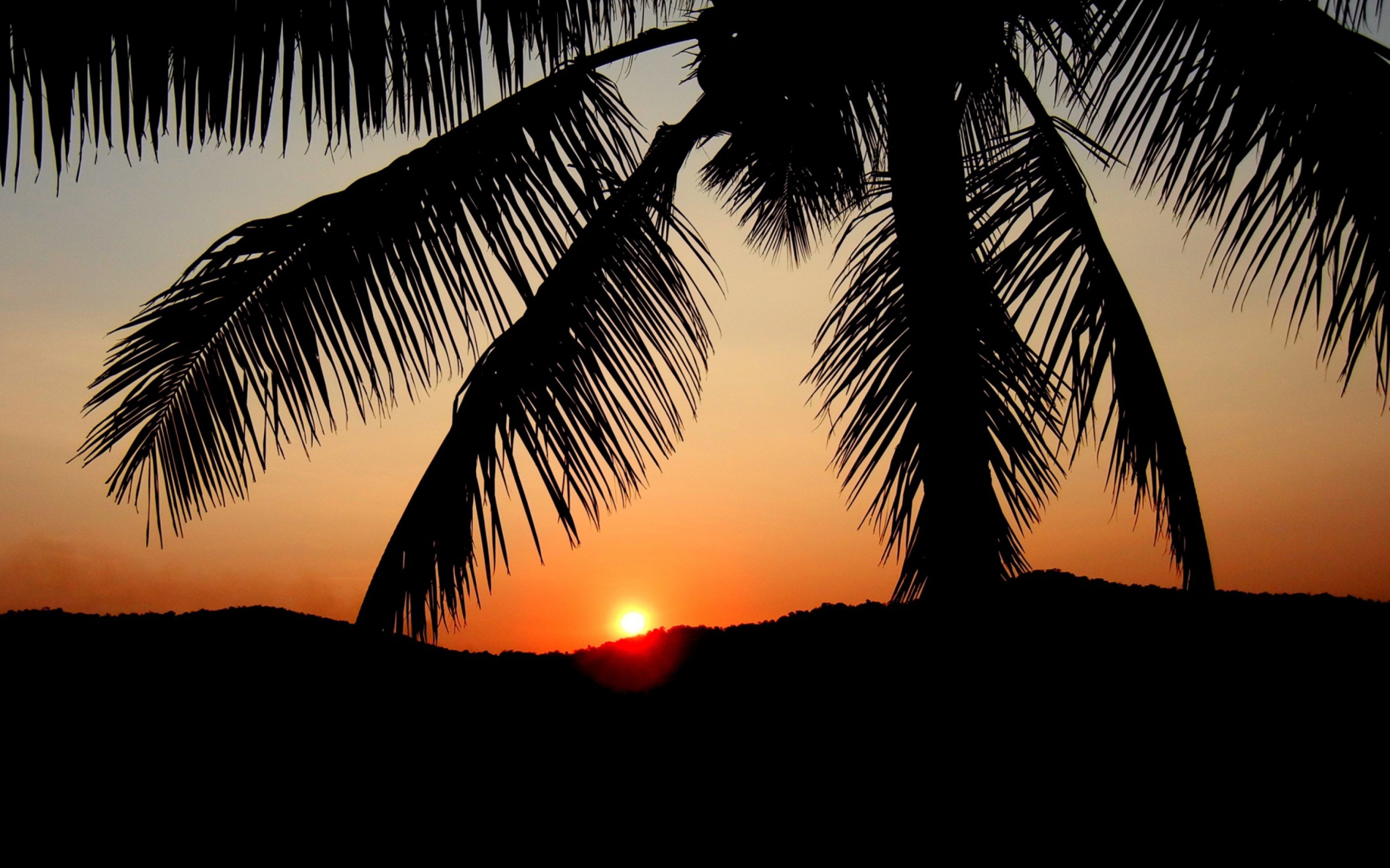 Sunset screenshot #1 2560x1600
