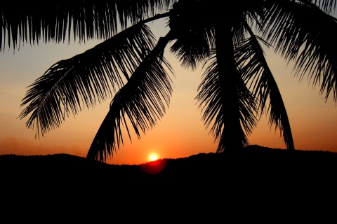 Sunset screenshot #1 480x320