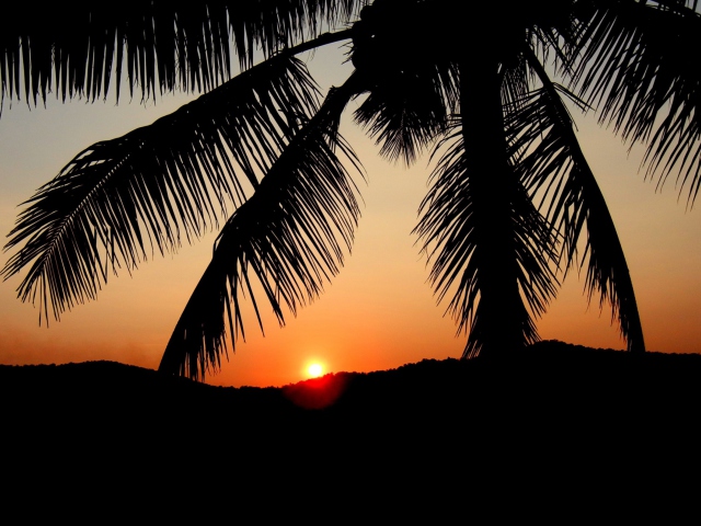Sunset screenshot #1 640x480