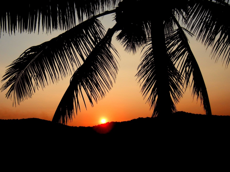 Sunset screenshot #1 800x600