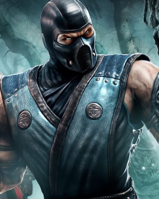 Sub Zero Mortal Kombat - Obrázkek zdarma pro iPhone 5