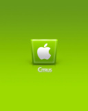 Fondo de pantalla Apple Citrus 128x160