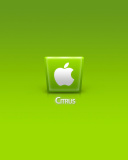 Обои Apple Citrus 128x160