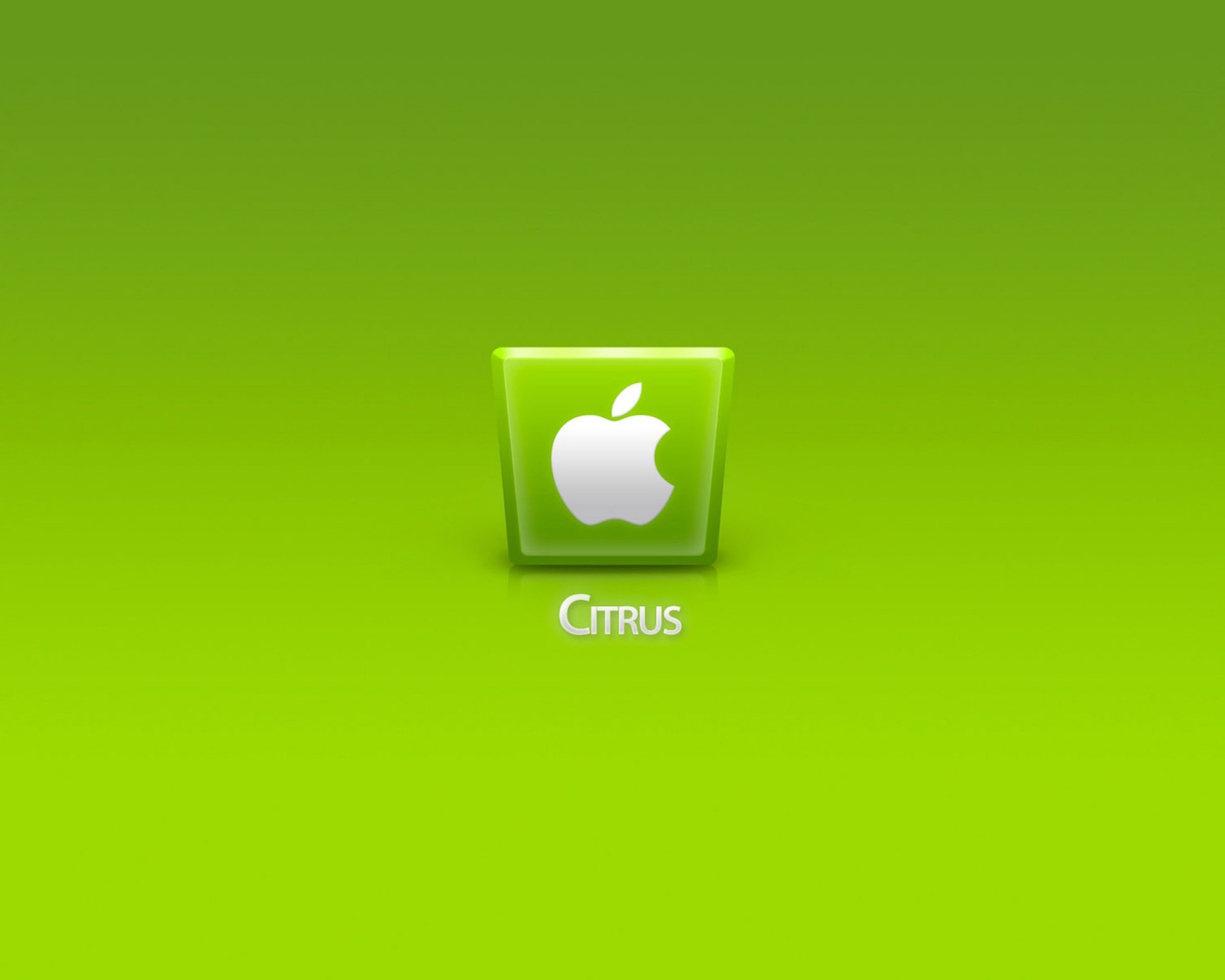 Screenshot №1 pro téma Apple Citrus 1600x1280