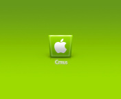 Sfondi Apple Citrus 176x144