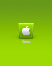 Das Apple Citrus Wallpaper 176x220