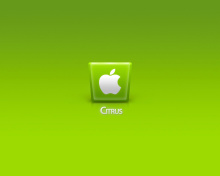 Fondo de pantalla Apple Citrus 220x176