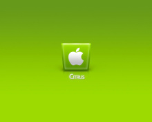 Das Apple Citrus Wallpaper 220x176