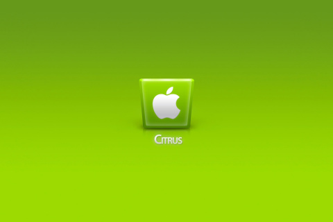 Fondo de pantalla Apple Citrus 480x320