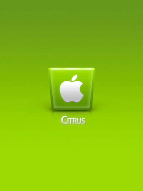 Das Apple Citrus Wallpaper 480x640