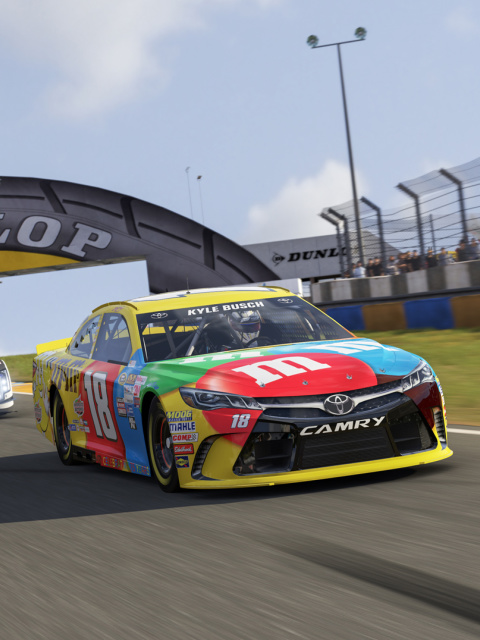 Обои Forza Nascar 480x640