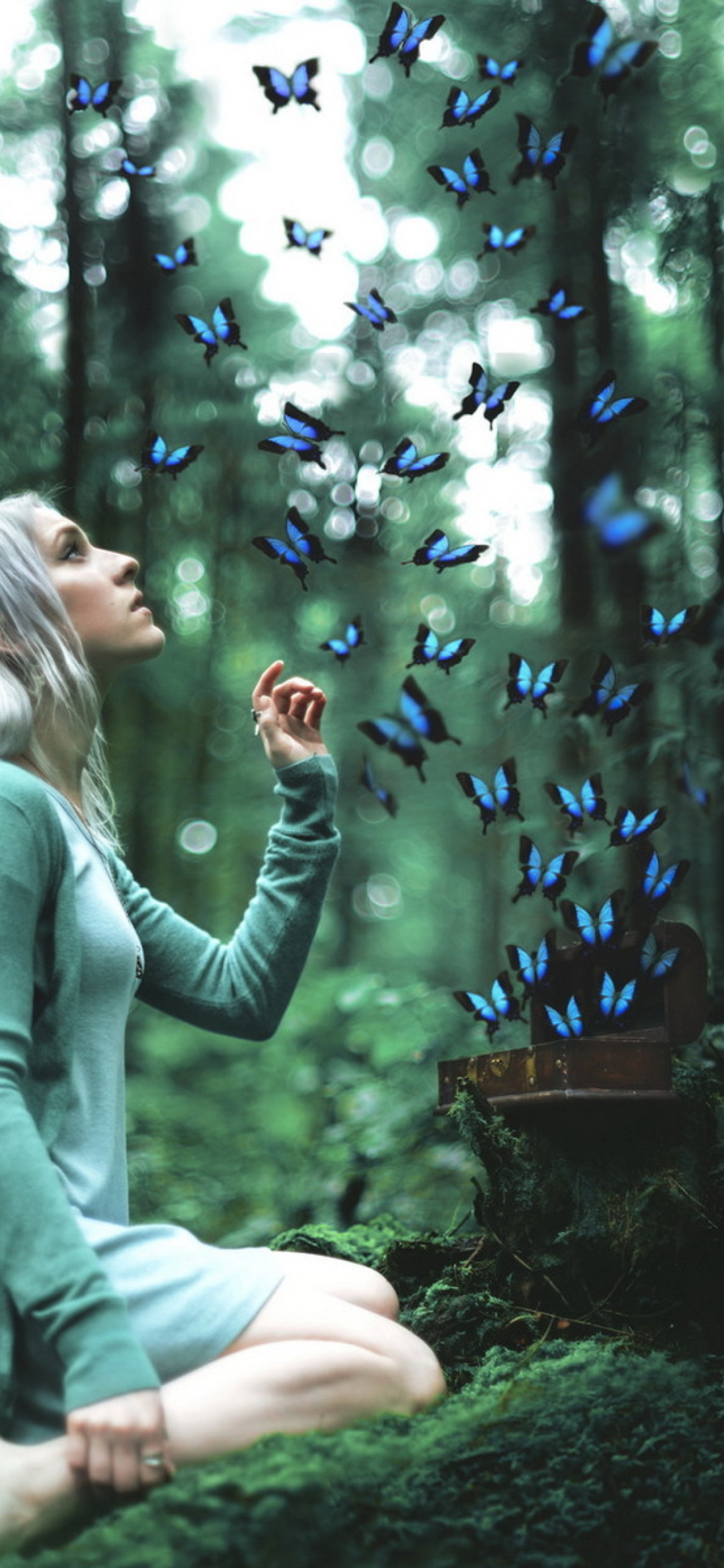 Das Girl And Blue Butterflies Wallpaper 1170x2532
