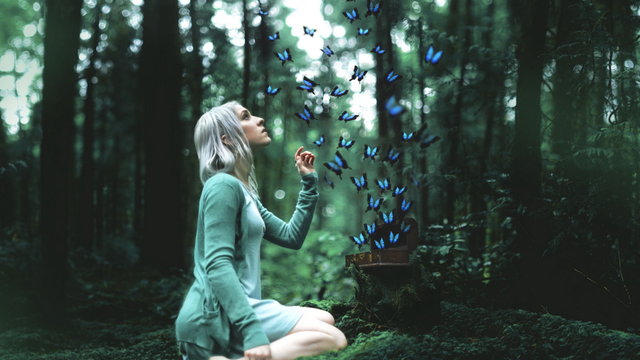 Das Girl And Blue Butterflies Wallpaper 1280x720