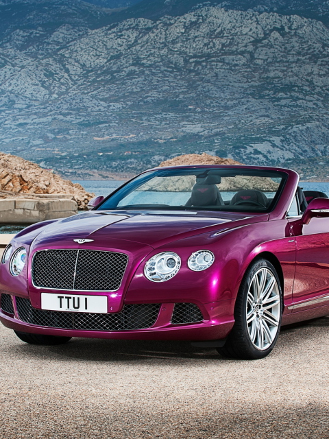 Screenshot №1 pro téma Bentley Continental GT Speed Convertible 480x640