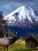 Sfondi Big Elk 132x176