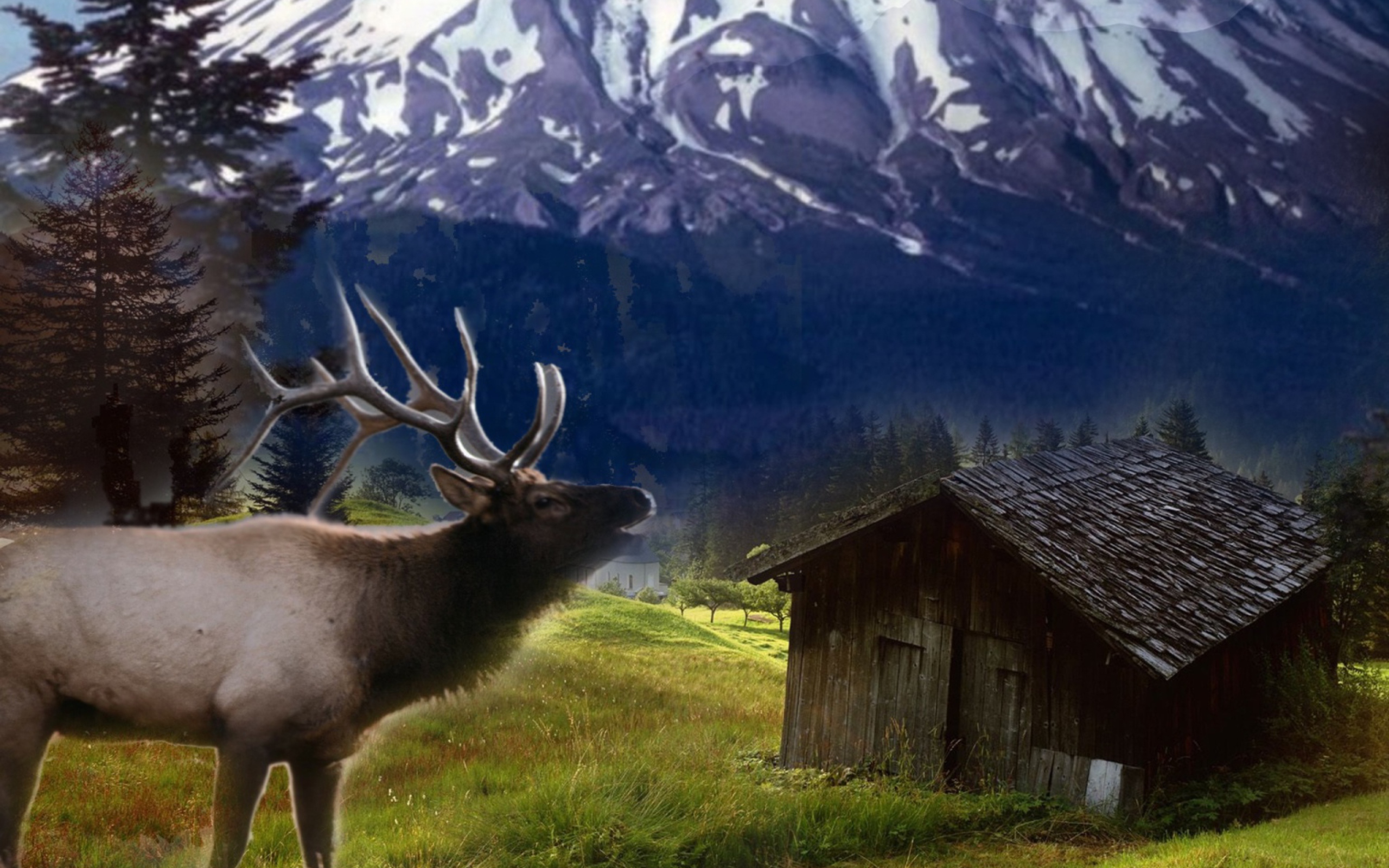 Das Big Elk Wallpaper 2560x1600