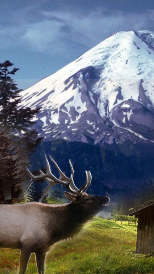 Das Big Elk Wallpaper 640x1136