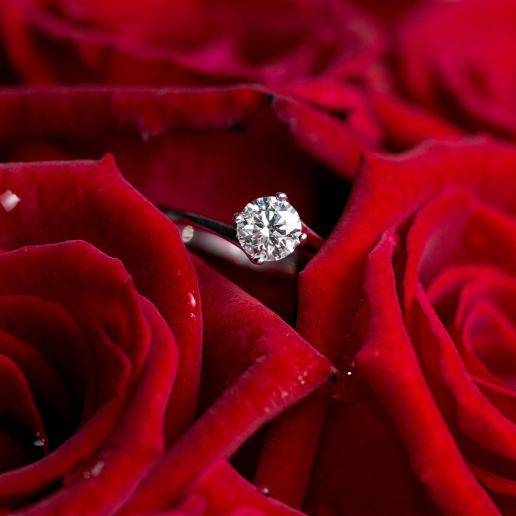 Diamond Ring And Roses wallpaper 1024x1024