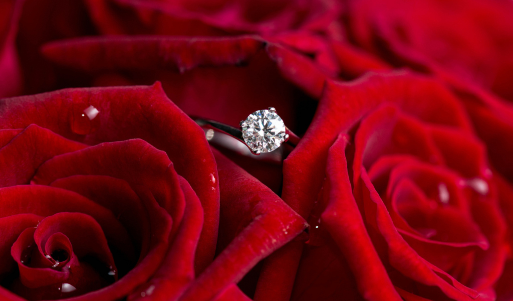 Обои Diamond Ring And Roses 1024x600