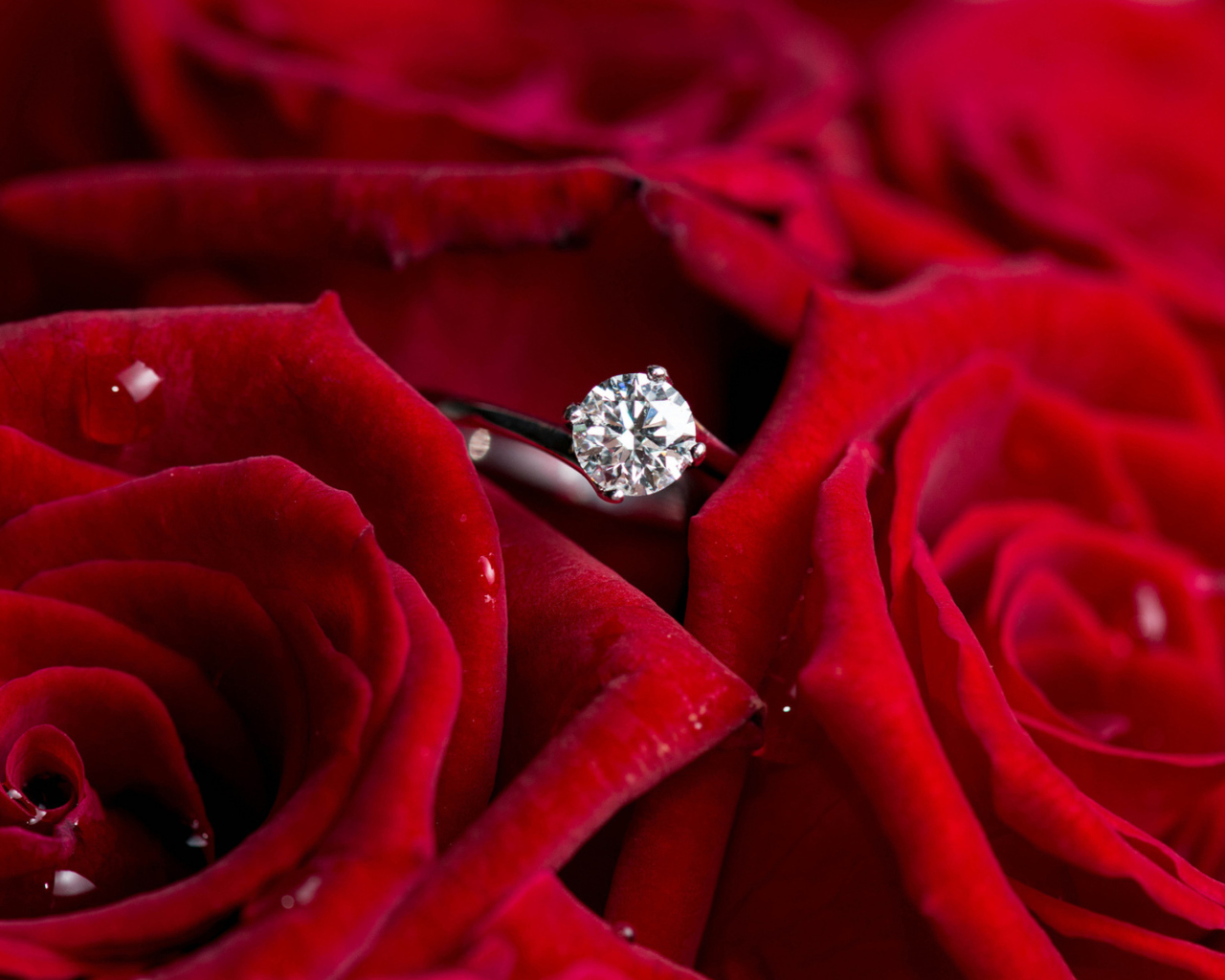 Обои Diamond Ring And Roses 1280x1024