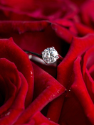 Fondo de pantalla Diamond Ring And Roses 132x176