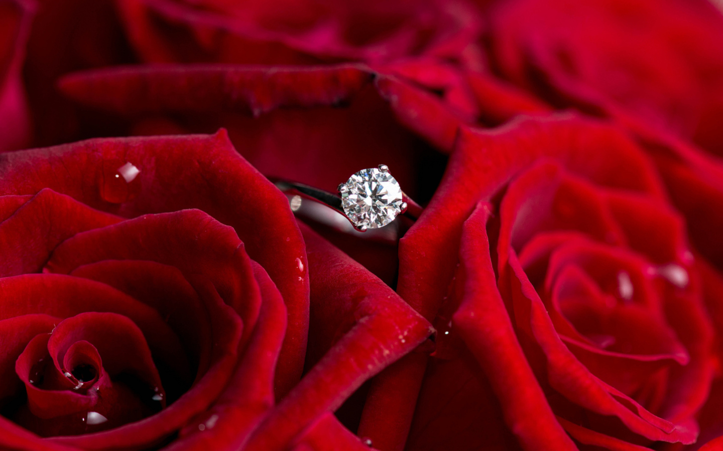 Обои Diamond Ring And Roses 1440x900