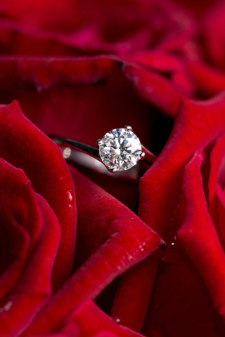 Das Diamond Ring And Roses Wallpaper 320x480