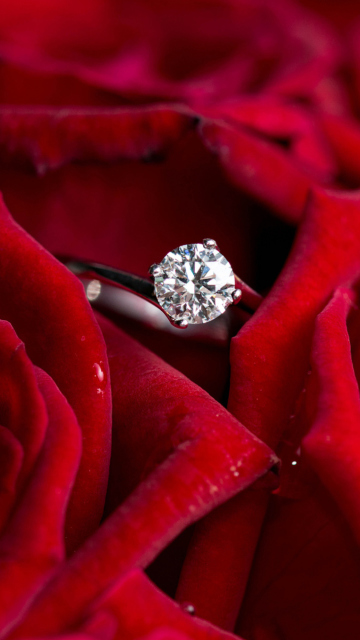Обои Diamond Ring And Roses 360x640