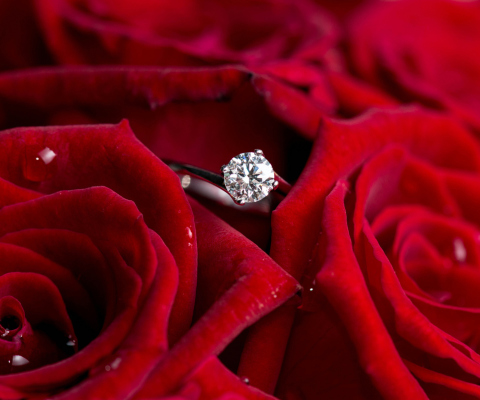 Fondo de pantalla Diamond Ring And Roses 480x400