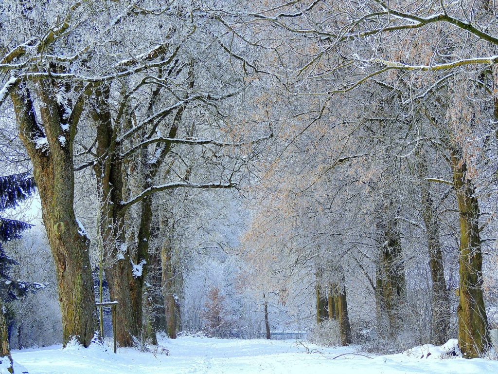 Winter Alley screenshot #1 1024x768