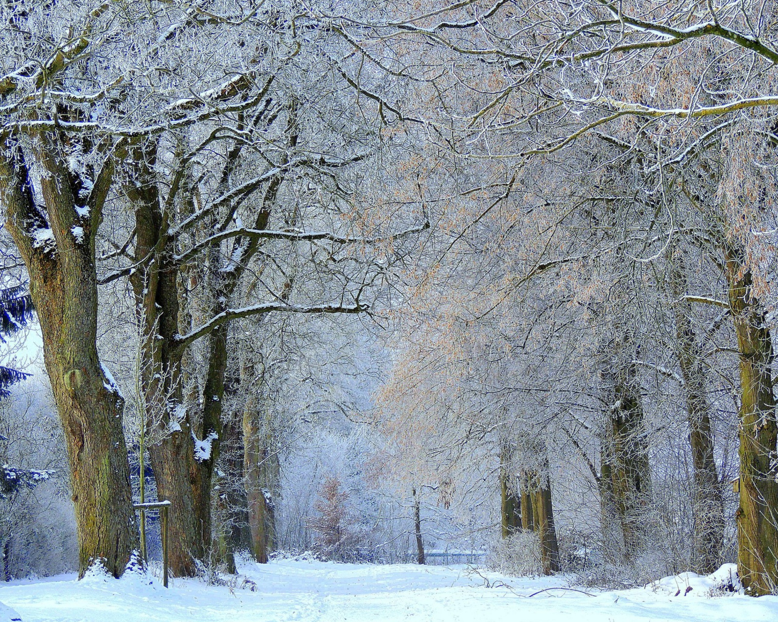 Обои Winter Alley 1600x1280