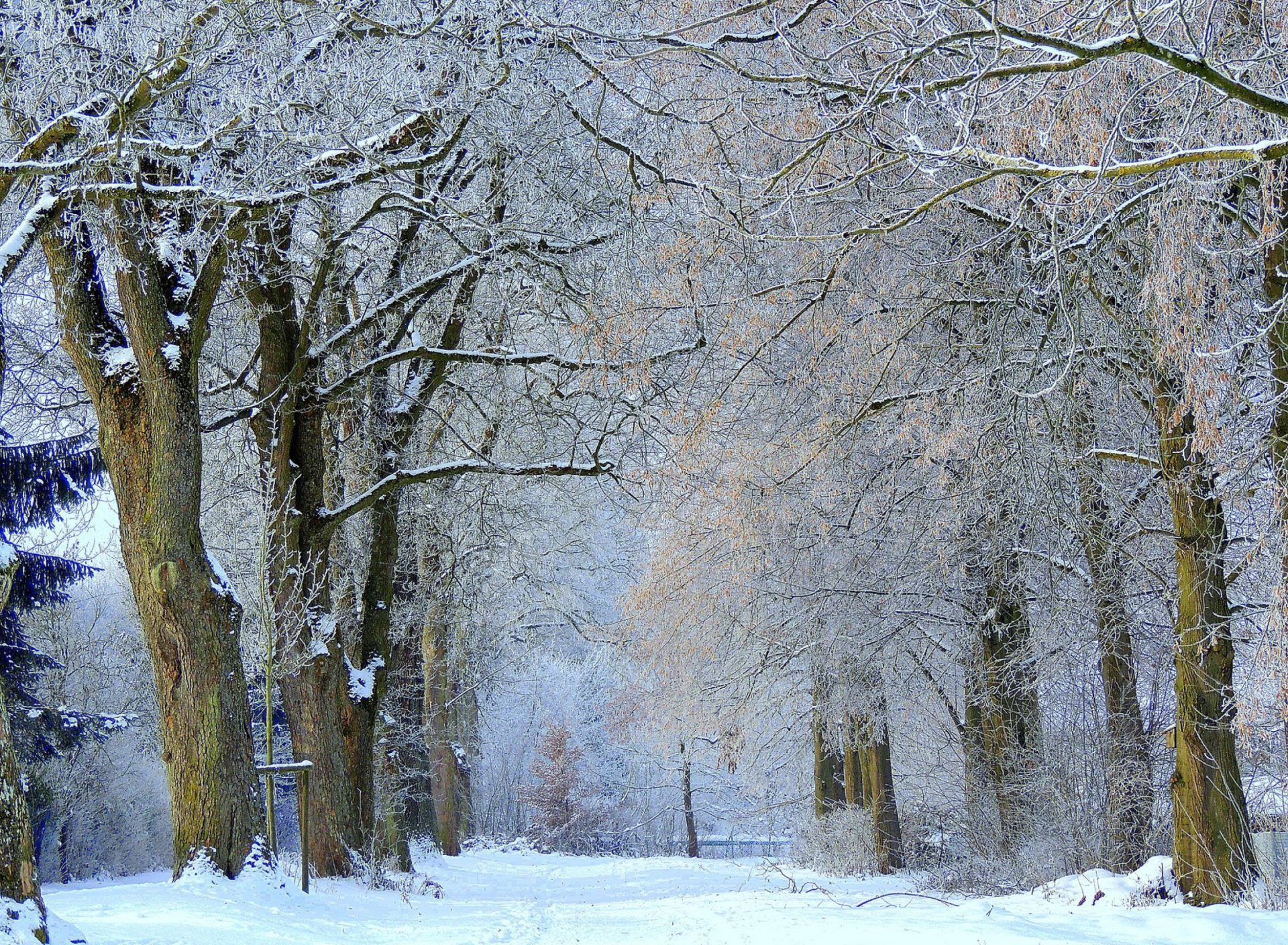 Winter Alley wallpaper 1920x1408