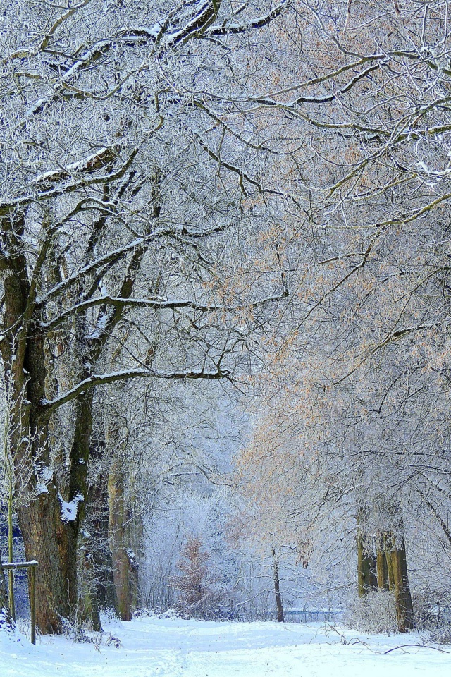 Winter Alley screenshot #1 640x960