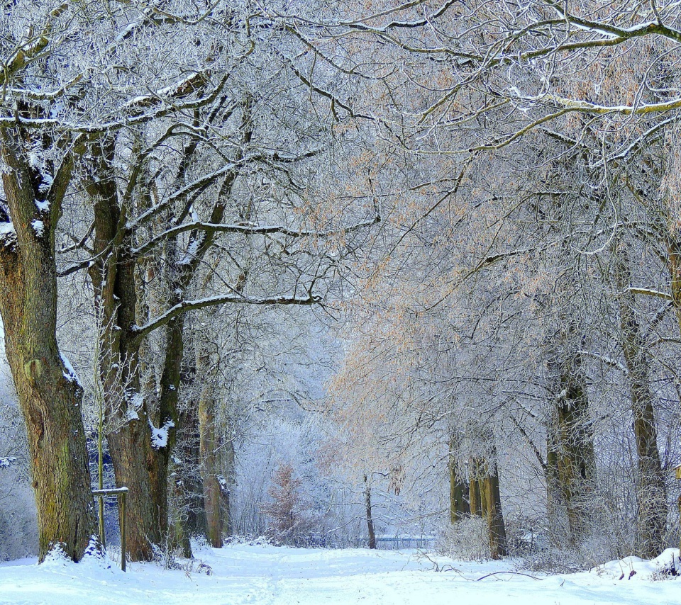 Winter Alley wallpaper 960x854